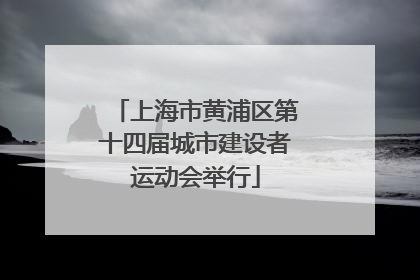 上海市黄浦区第十四届城市建设者运动会举行