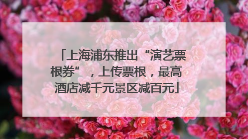 上海浦东推出“演艺票根券”，上传票根，最高酒店减千元景区减百元