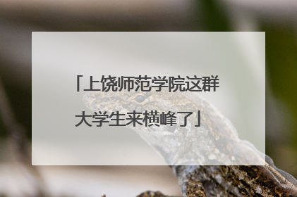 上饶师范学院这群大学生来横峰了