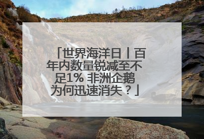 世界海洋日丨百年内数量锐减至不足1% 非洲企鹅为何迅速消失？