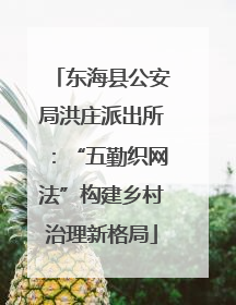 东海县公安局洪庄派出所：“五勤织网法”构建乡村治理新格局