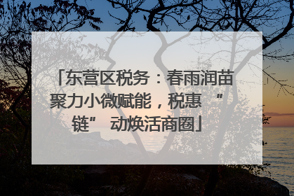 东营区税务：春雨润苗聚力小微赋能，税惠 “链” 动焕活商圈