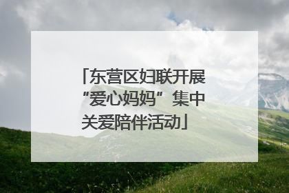 东营区妇联开展“爱心妈妈”集中关爱陪伴活动