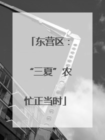 东营区：“三夏”农忙正当时