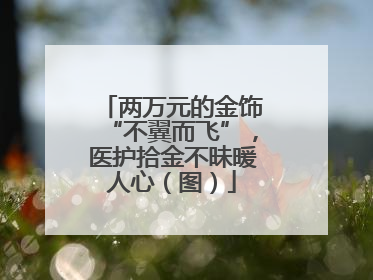 两万元的金饰“不翼而飞”，医护拾金不昧暖人心（图）
