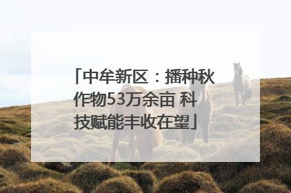 中牟新区：播种秋作物53万余亩 科技赋能丰收在望