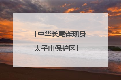 中华长尾雀现身太子山保护区