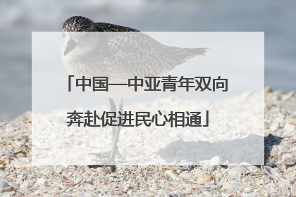 中国—中亚青年双向奔赴促进民心相通