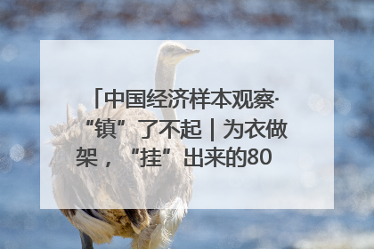 中国经济样本观察·“镇”了不起｜为衣做架，“挂”出来的80亿元“衣架产业”