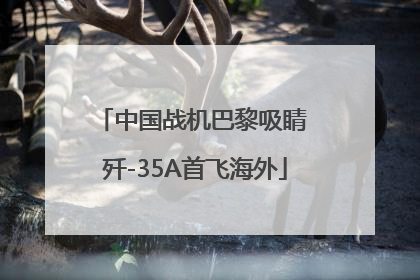 中国战机巴黎吸睛 歼-35A首飞海外
