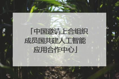 中国邀请上合组织成员国共建人工智能应用合作中心