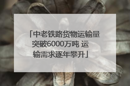 中老铁路货物运输量突破6000万吨 运输需求逐年攀升