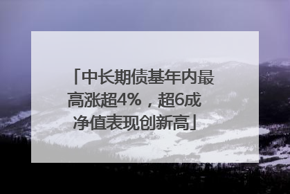 中长期债基年内最高涨超4%，超6成净值表现创新高