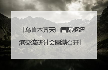 乌鲁木齐天山国际枢纽港交流研讨会圆满召开