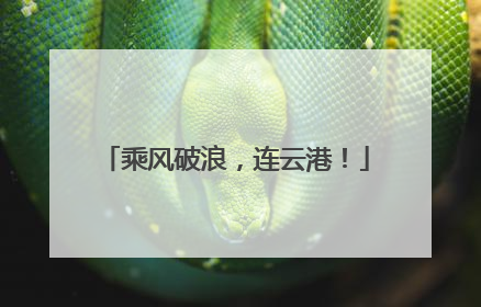 乘风破浪，连云港！