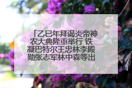乙巳年拜谒炎帝神农大典隆重举行 铁凝巴特尔王忠林李殿勋张志军林中森等出席 孙伟主持