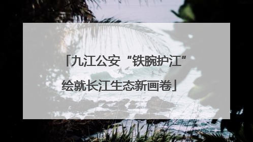 九江公安“铁腕护江”绘就长江生态新画卷