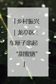乡村振兴｜龙亭区：车厘子串起“甜蜜链”