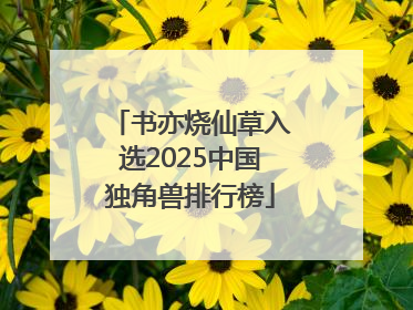 书亦烧仙草入选2025中国独角兽排行榜