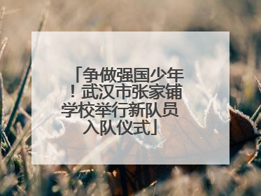 争做强国少年！武汉市张家铺学校举行新队员入队仪式