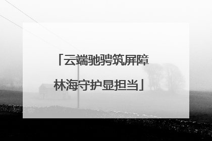 云端驰骋筑屏障 林海守护显担当