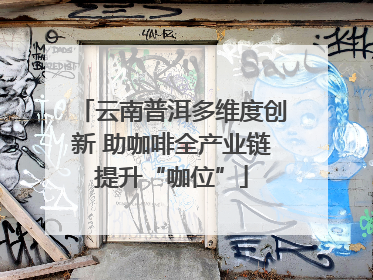 云南普洱多维度创新 助咖啡全产业链提升“咖位”
