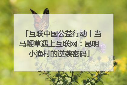 互联中国公益行动丨当马鞭草遇上互联网：昆明小渔村的逆袭密码