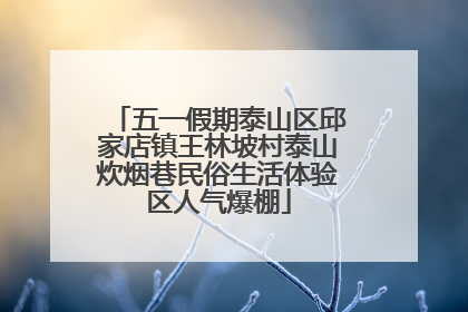 五一假期泰山区邱家店镇王林坡村泰山炊烟巷民俗生活体验区人气爆棚