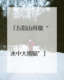 五指山再现“水中大熊猫”