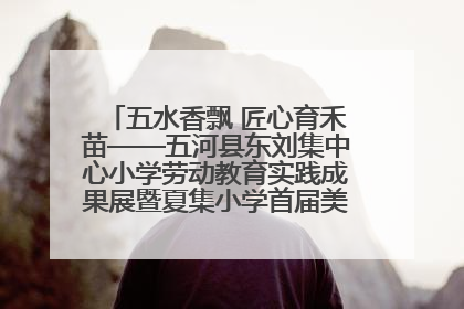 五水香飘 匠心育禾苗——五河县东刘集中心小学劳动教育实践成果展暨夏集小学首届美食节盛大举行