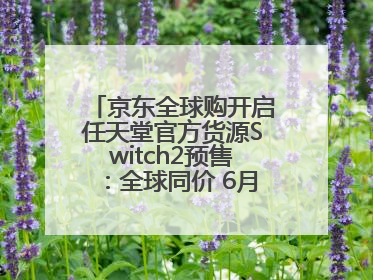 京东全球购开启任天堂官方货源Switch2预售：全球同价 6月5日首批发货