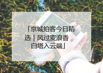 京城拍客今日精选｜风过麦浪香 白塔入云端