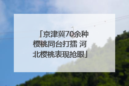 京津冀70余种樱桃同台打擂 河北樱桃表现抢眼