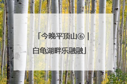 今晚平顶山⑥｜白龟湖畔乐融融