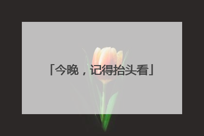 今晚，记得抬头看