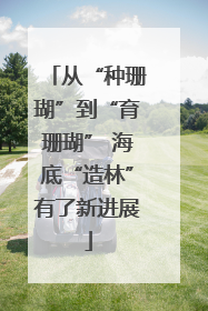 从“种珊瑚”到“育珊瑚” 海底“造林”有了新进展