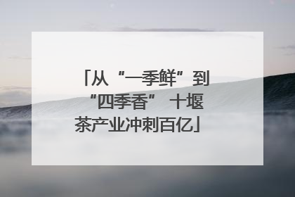 从“一季鲜”到“四季香” 十堰茶产业冲刺百亿