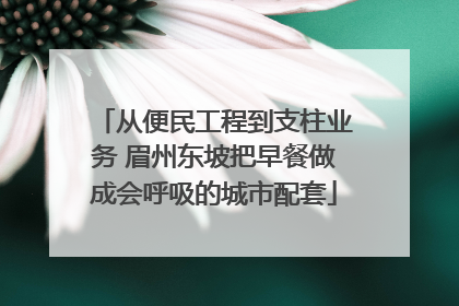 从便民工程到支柱业务 眉州东坡把早餐做成会呼吸的城市配套
