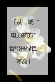 从一纸“电力药方”看绍兴绿色革命