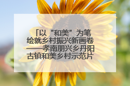 以“和美”为笔 绘就乡村振兴新画卷——孝南朋兴乡丹阳古镇和美乡村示范片区建设综述