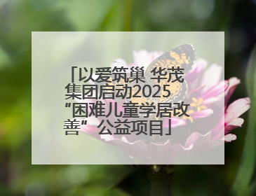 以爱筑巢 华茂集团启动2025“困难儿童学居改善”公益项目