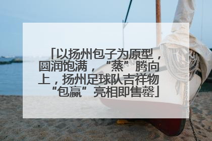 以扬州包子为原型，圆润饱满，“蒸”腾向上，扬州足球队吉祥物“包赢”亮相即售罄