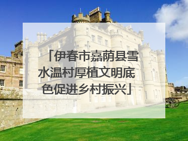伊春市嘉荫县雪水温村厚植文明底色促进乡村振兴