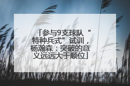 参与9支球队“特种兵式”试训，杨瀚森：突破的意义远远大于顺位