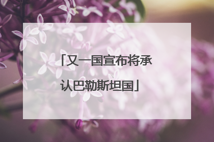 又一国宣布将承认巴勒斯坦国
