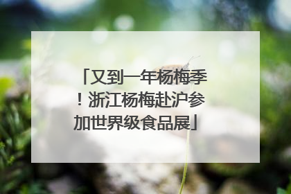 又到一年杨梅季！浙江杨梅赴沪参加世界级食品展
