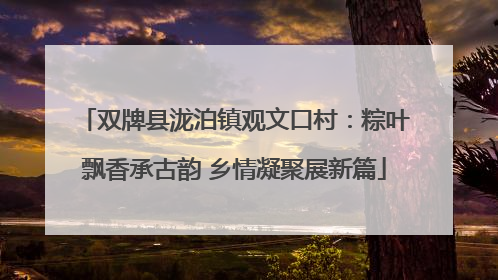 双牌县泷泊镇观文口村：粽叶飘香承古韵 乡情凝聚展新篇