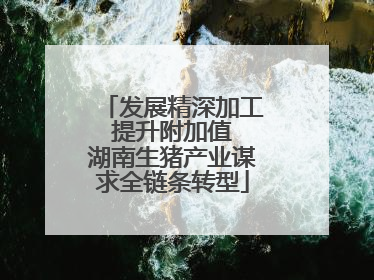 发展精深加工 提升附加值 湖南生猪产业谋求全链条转型
