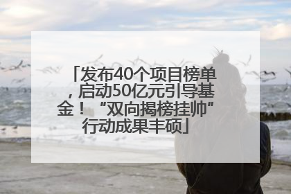发布40个项目榜单，启动50亿元引导基金！“双向揭榜挂帅”行动成果丰硕