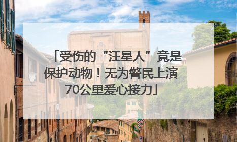 受伤的“汪星人”竟是保护动物！无为警民上演70公里爱心接力